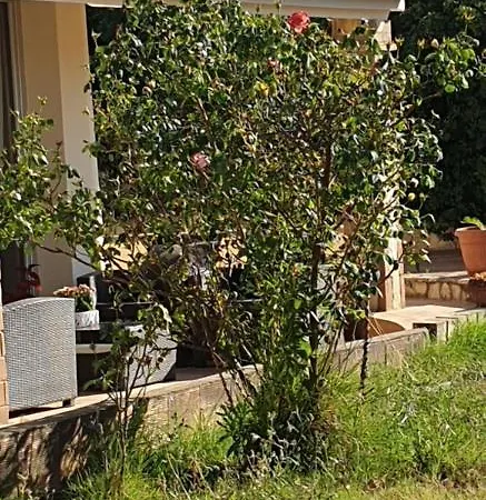 Bed & Breakfast Renzo E Lucia Sant Isidoro (Sardinia)