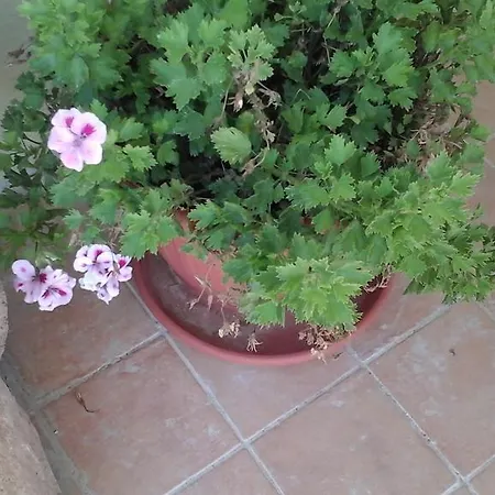 Bed & Breakfast Renzo E Lucia *